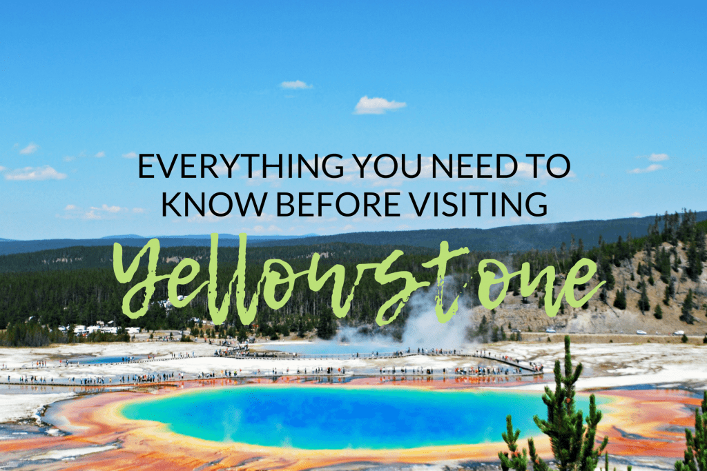 What To Know Before Visiting Yellowstone National Park - The Olden Chapters